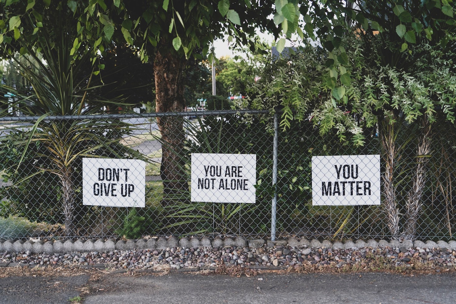 How Shared Stories Can Heal Trauma